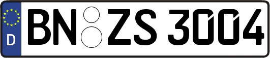 BN-ZS3004