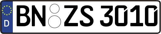 BN-ZS3010