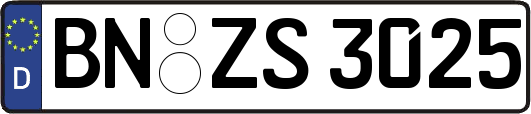 BN-ZS3025