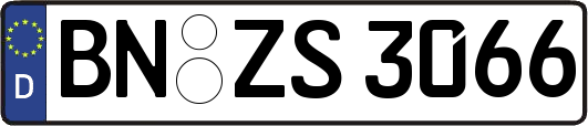 BN-ZS3066