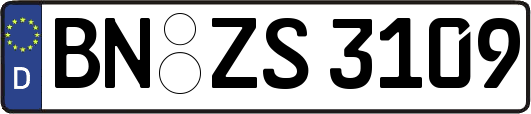 BN-ZS3109