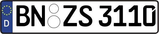 BN-ZS3110