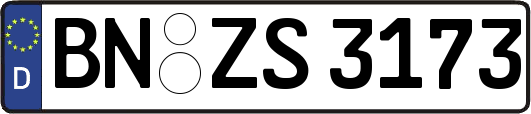 BN-ZS3173