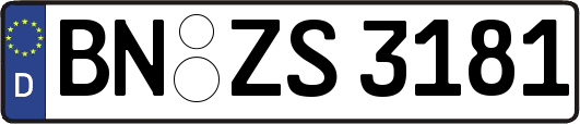 BN-ZS3181