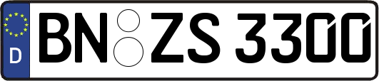 BN-ZS3300
