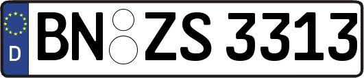 BN-ZS3313