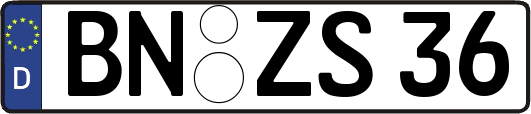 BN-ZS36