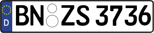 BN-ZS3736