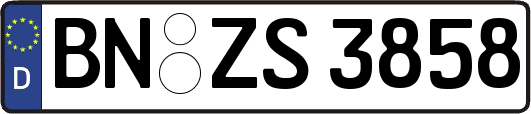 BN-ZS3858