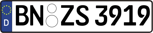 BN-ZS3919