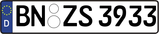 BN-ZS3933
