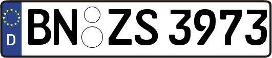 BN-ZS3973