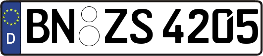 BN-ZS4205