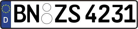 BN-ZS4231