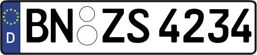 BN-ZS4234