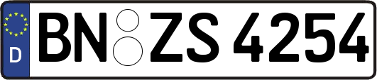 BN-ZS4254