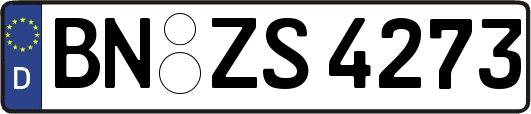 BN-ZS4273