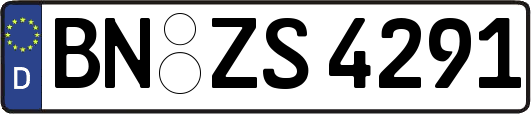 BN-ZS4291