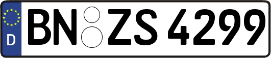 BN-ZS4299