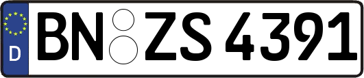 BN-ZS4391