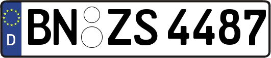 BN-ZS4487