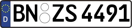 BN-ZS4491
