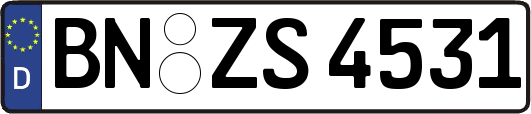 BN-ZS4531
