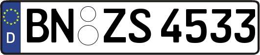 BN-ZS4533