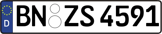 BN-ZS4591