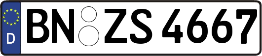 BN-ZS4667