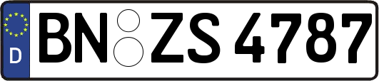 BN-ZS4787