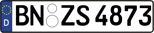 BN-ZS4873