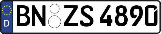 BN-ZS4890