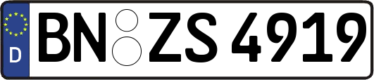 BN-ZS4919