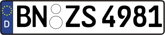 BN-ZS4981