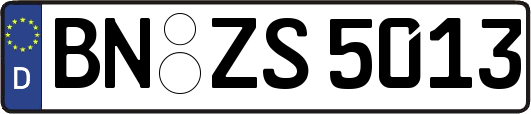 BN-ZS5013