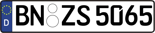 BN-ZS5065