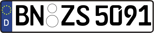 BN-ZS5091
