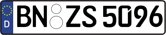 BN-ZS5096