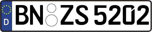 BN-ZS5202