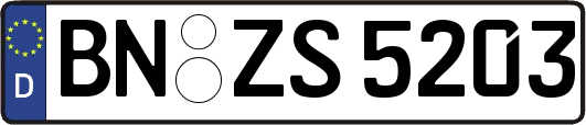 BN-ZS5203