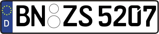 BN-ZS5207