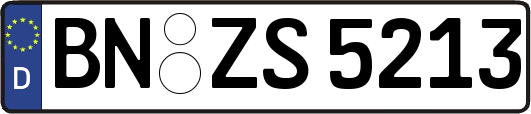 BN-ZS5213