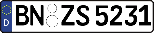 BN-ZS5231