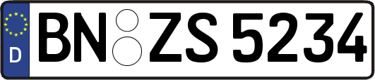 BN-ZS5234
