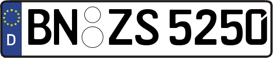 BN-ZS5250