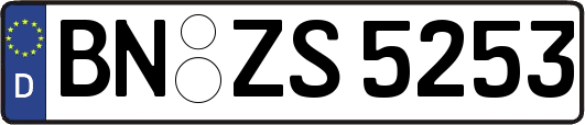 BN-ZS5253