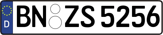 BN-ZS5256