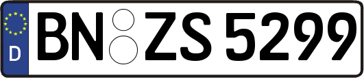 BN-ZS5299
