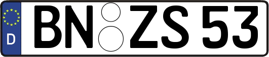 BN-ZS53